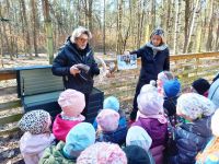 1742384609822 1742384609822