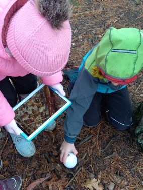 20241120_092548 20241120_092548