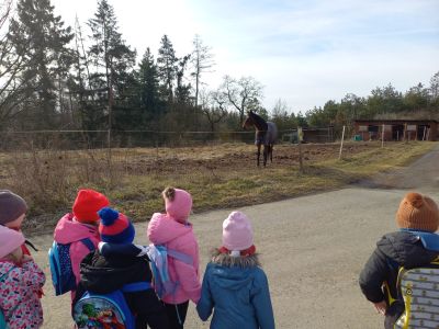 20250304_093934_001 20250304_093934_001