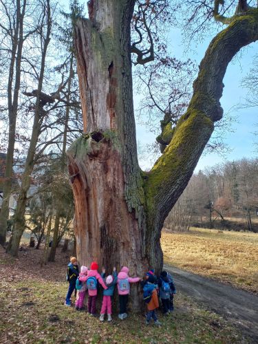 20250304_100426 20250304_100426