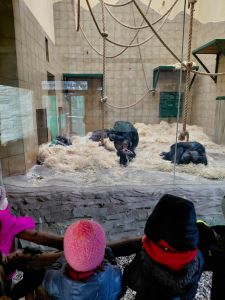 20251205_093128 20251205_093128