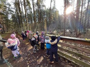 IMG-20241120-WA0002 IMG-20241120-WA0002