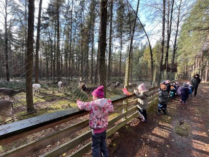 IMG-20241120-WA0003 IMG-20241120-WA0003