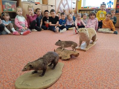 IMG-20250306-WA0007 IMG-20250306-WA0007