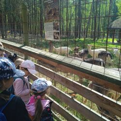 IMG_20250423_103034_1