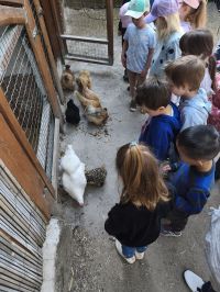 IMG_20260504_093703