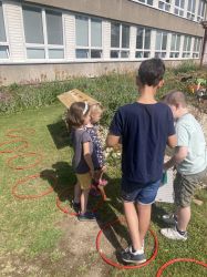 škola stezka, ekosystémy